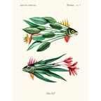 Image Alt Text