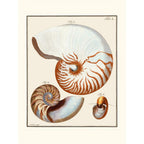 Sciences Naturelles - Le Grand Nautille
