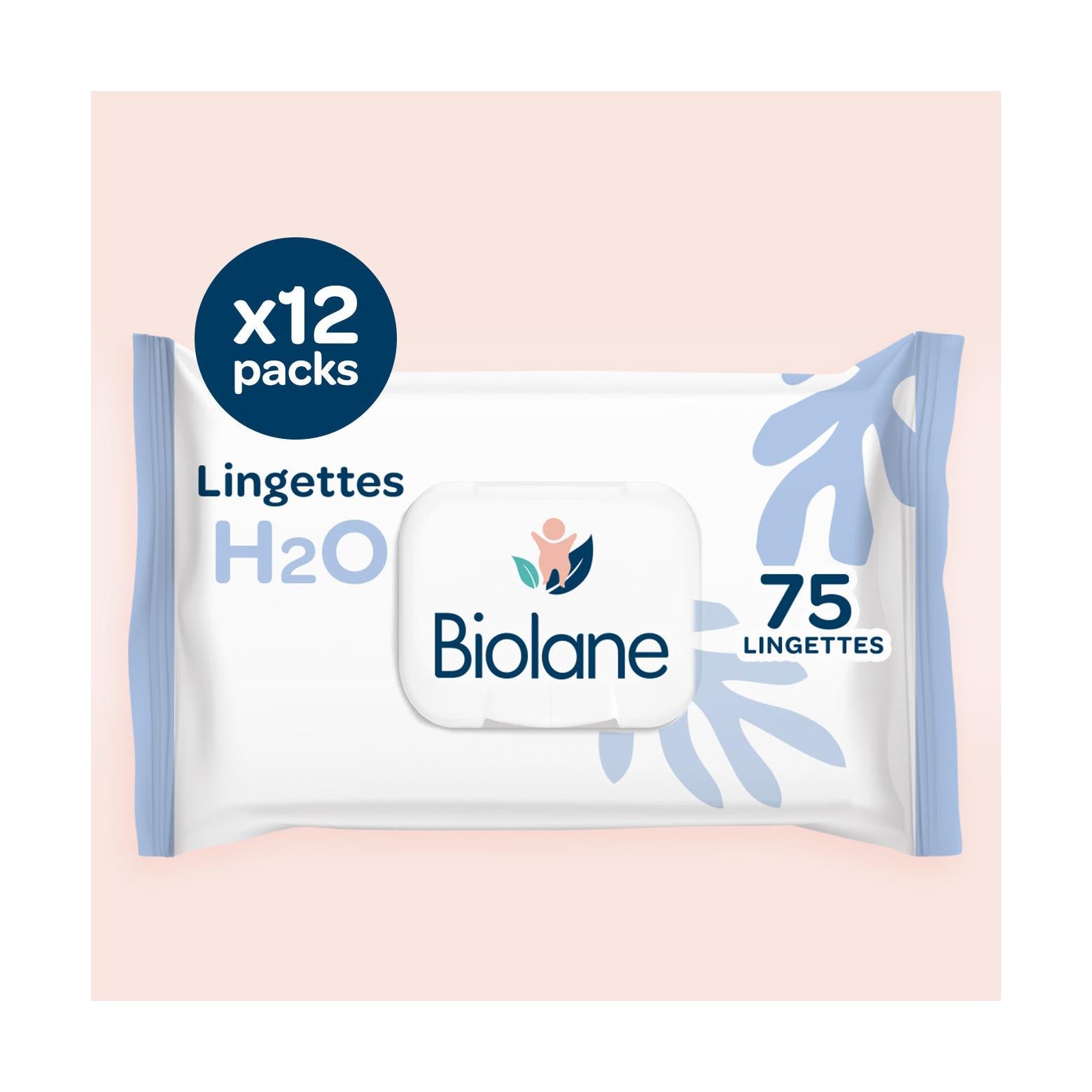 Lot De 12 Paquets De 75 Lingettes H2O
