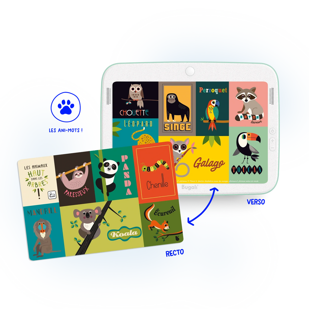 Packs - Pack Tablette, Casque & Cartes (3+)