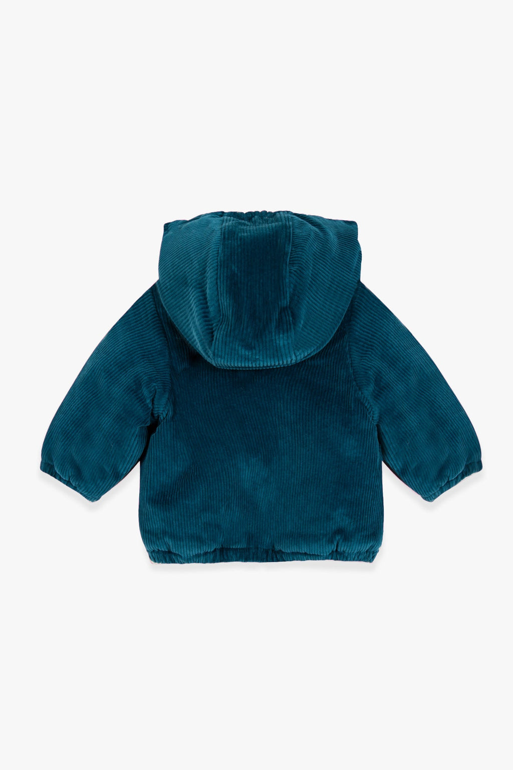 Veste - Goupil Navy