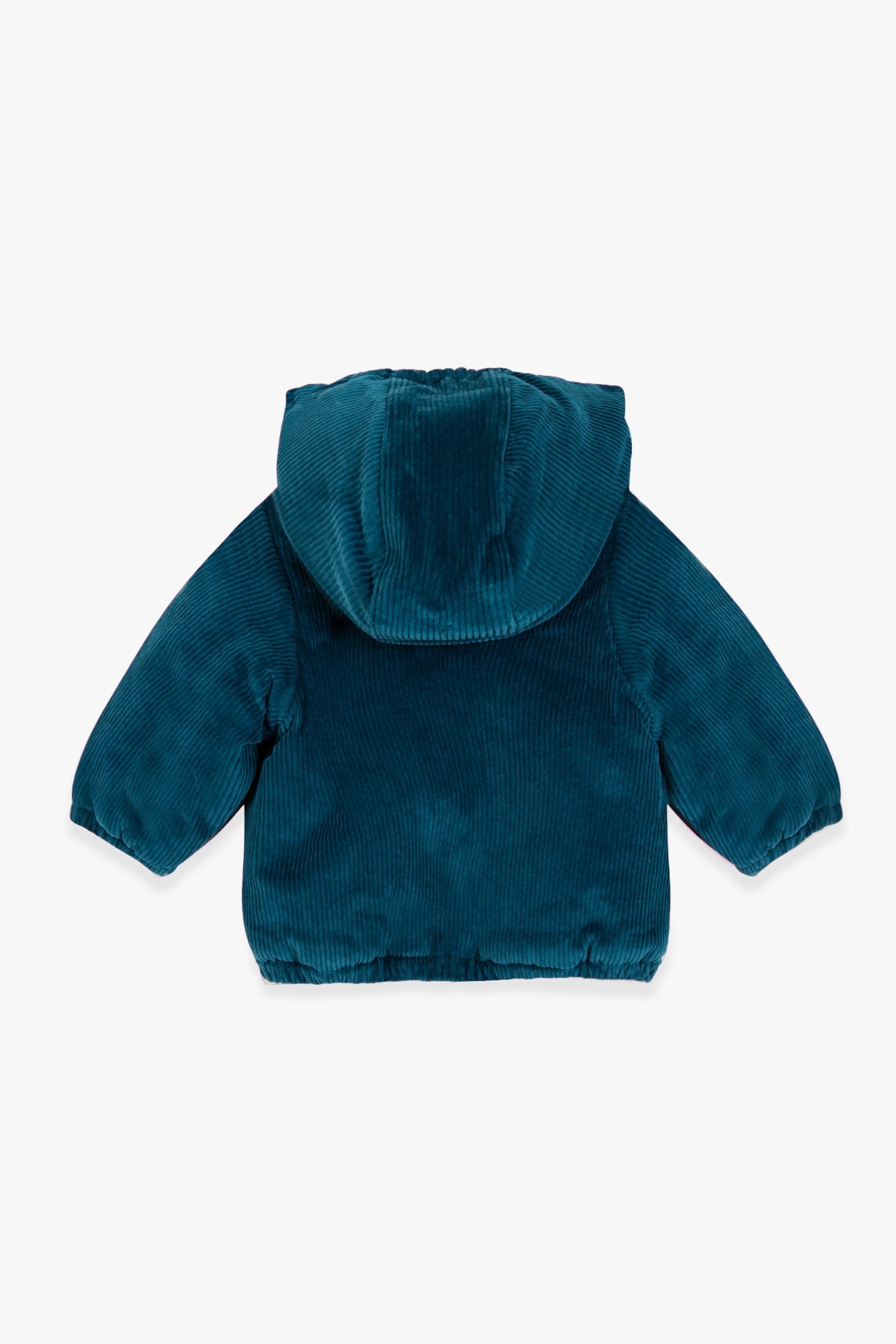 Veste - Goupil Navy