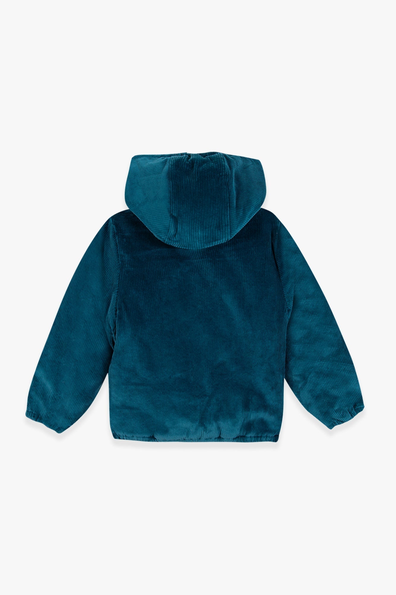 Veste - Goupil Bleu
