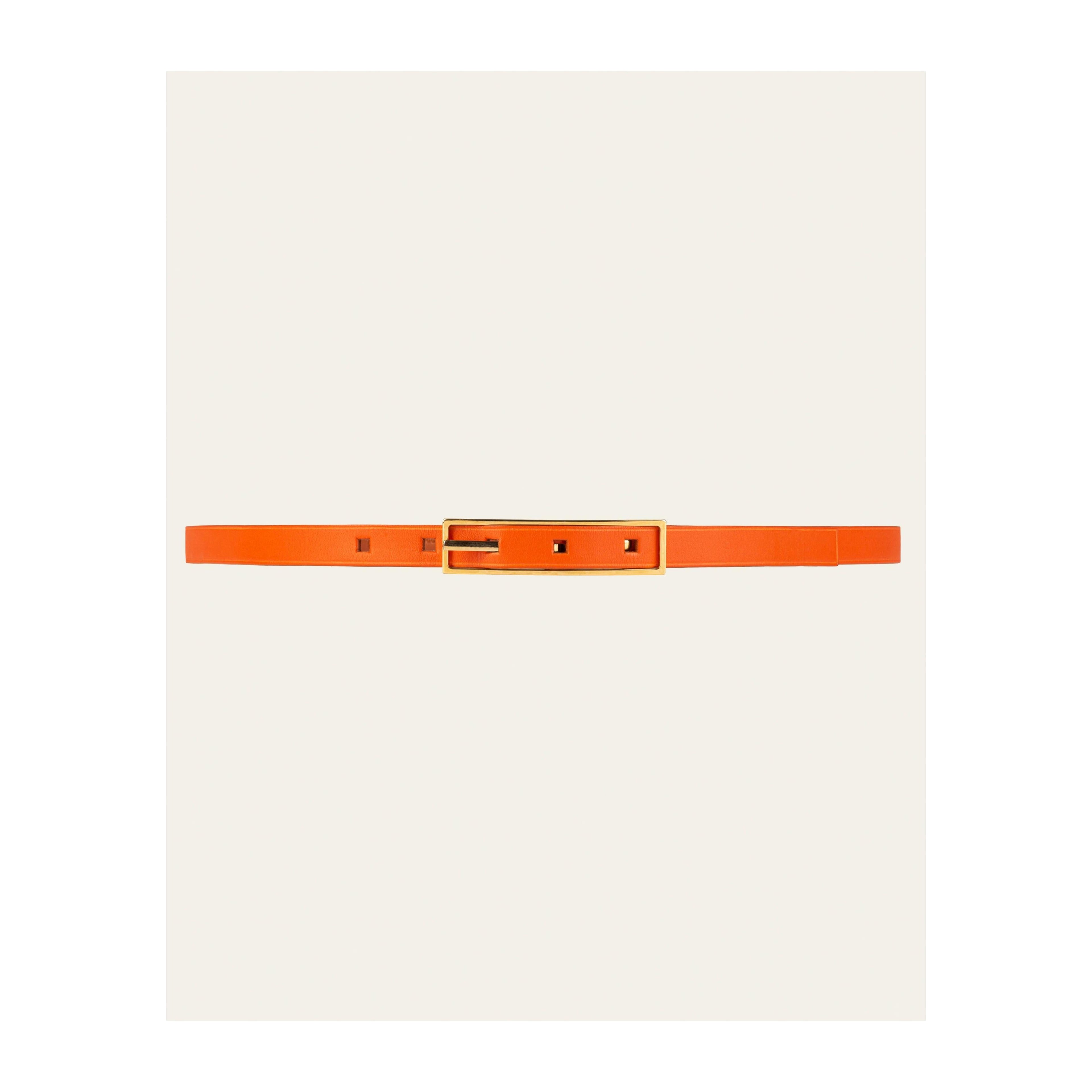 #couleur_orange