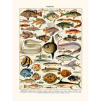 Sciences Naturelles - Millot,poissons Cernier