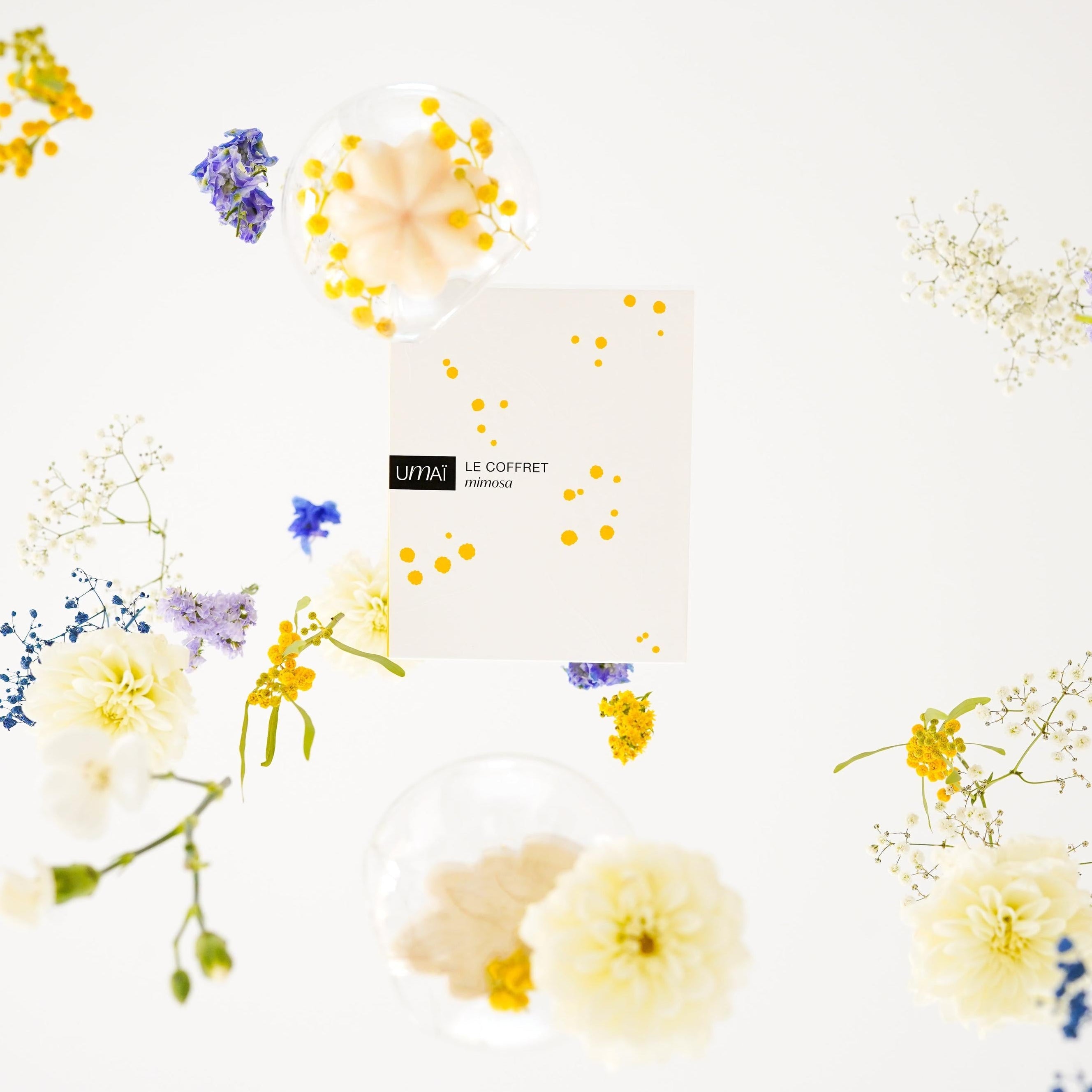 Umaï - Le Coffret Mimosa