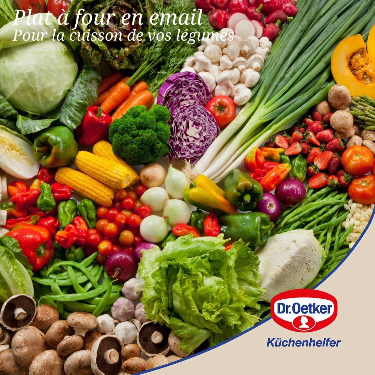 Dr Oetker - Ensemble De 2 Plats À Four Avec Couvercle En Acier Émaillé 42 X 34 Cm Dr. Oetker Back-Idee Kreativ - Noir
