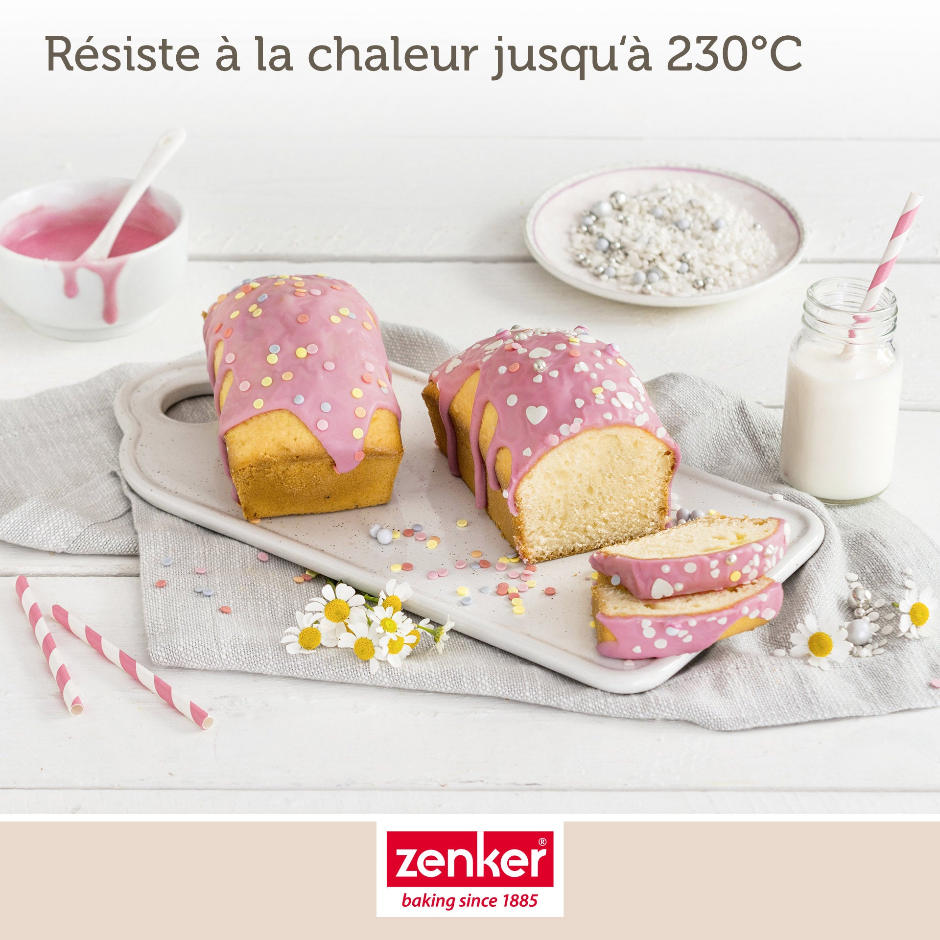 Zenker - Moule À Cake 20 Cm Zenker Special Mini - Noir