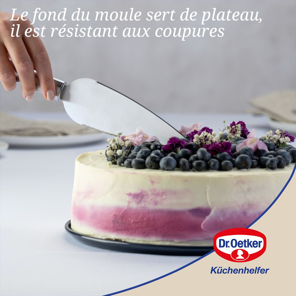 Dr Oetker - Lot De 2 Moules À Gâteaux 28/28 Cm En Acier Dr Oetker Back-Liebe - Bleu