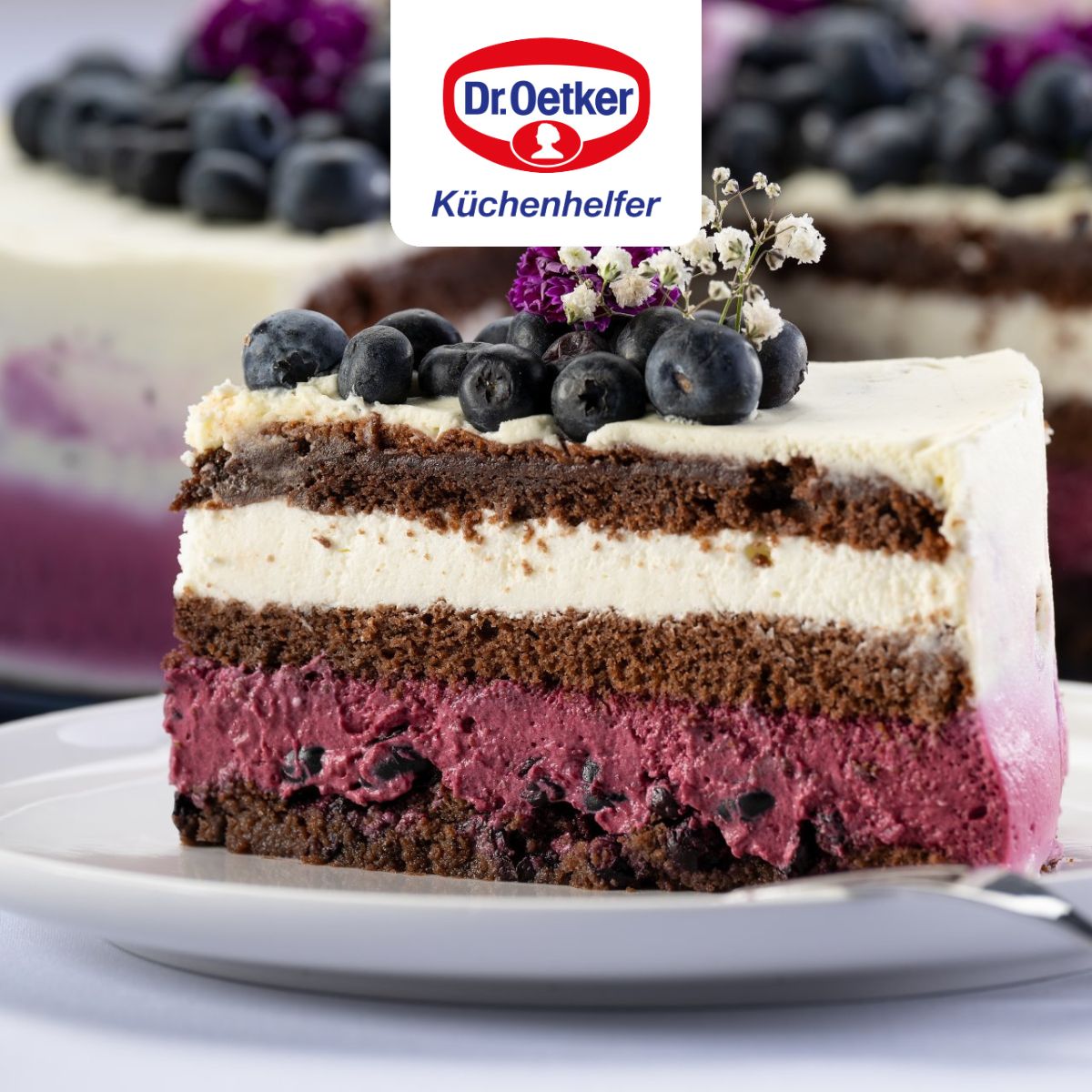 Dr Oetker - Moule À Manqué À Charnière 26 Cm Dr.Oetker Back Liebe - Bleu