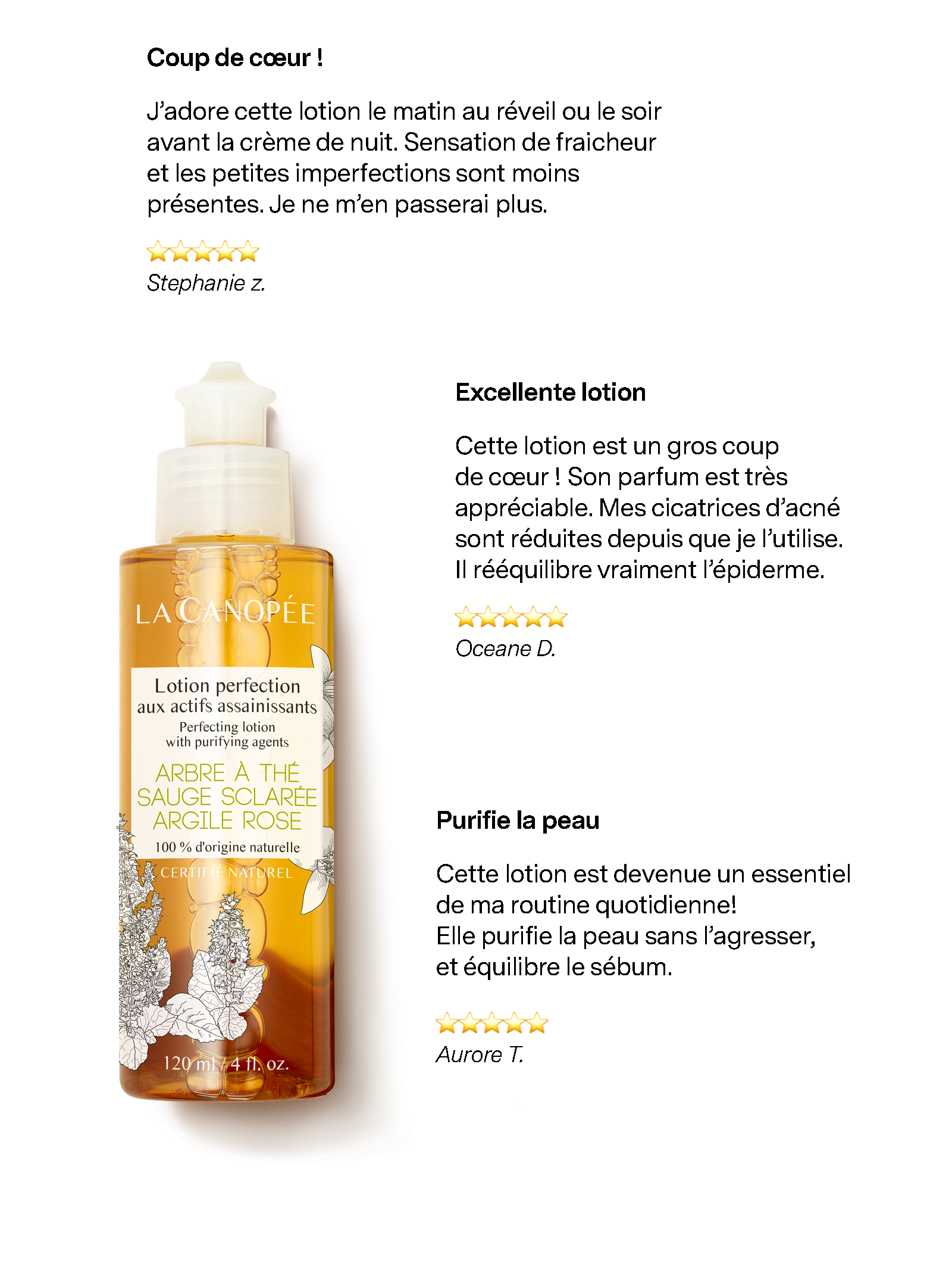 Lotion Perfection Aux Actifs Assainissants