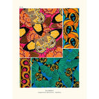 Sciences Naturelles - Papillons Séguy PL18