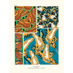 Sciences Naturelles - Papillons Séguy PL19