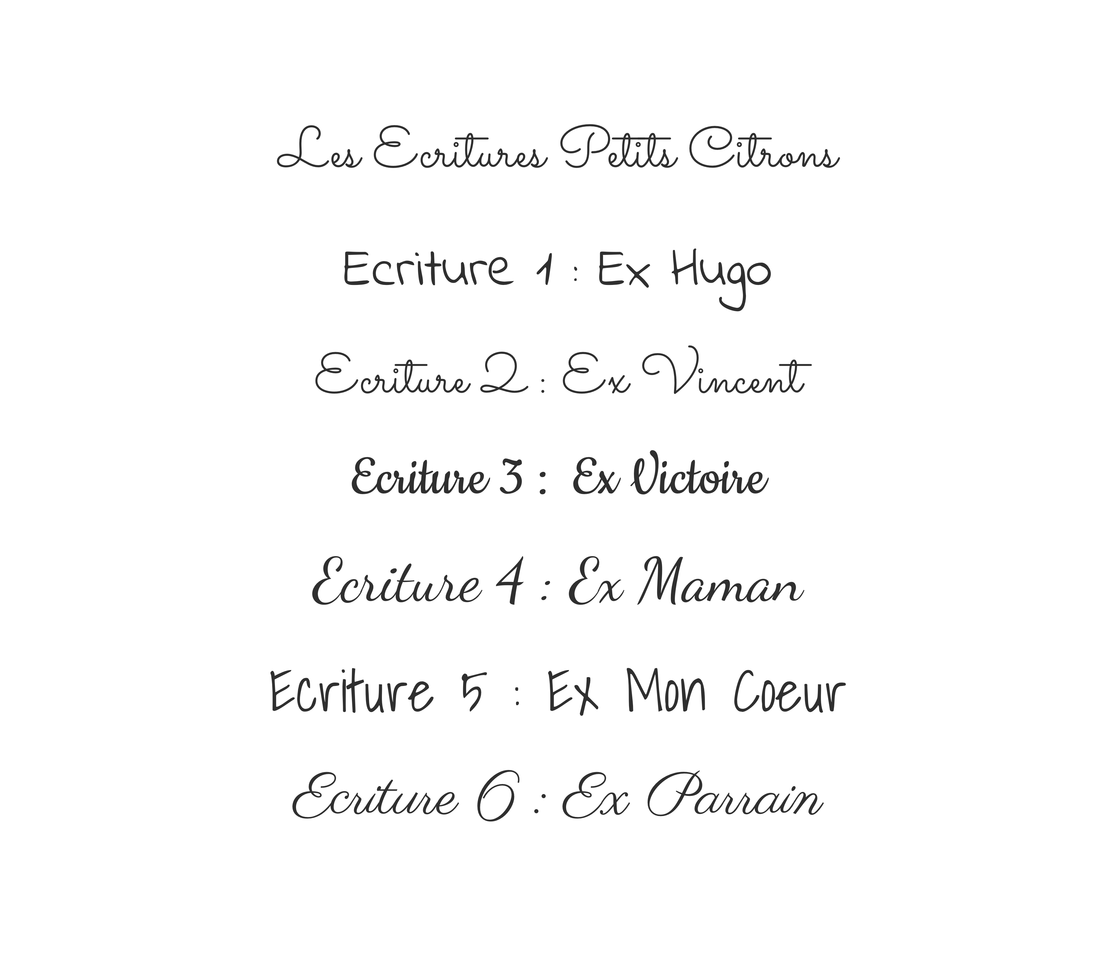 Manual La Brosse À Poils