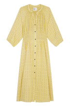 Robe Roudy Losa