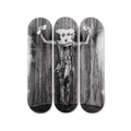 Roger Ballen's Alter Ego skateboard art by the skateroom