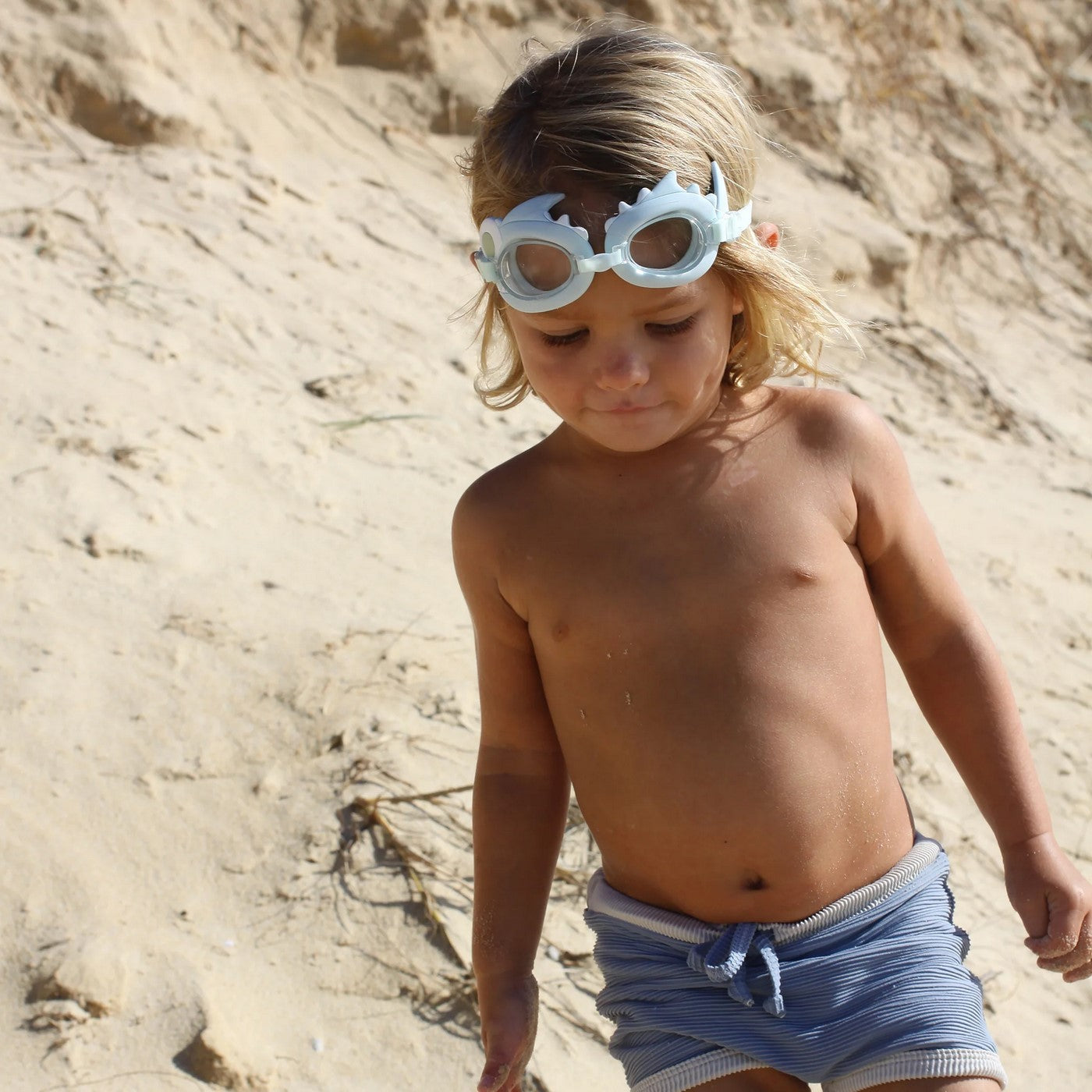 Lunettes Natation Shark Tribe - Vert