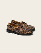 Derbies Niza - Suède bengal