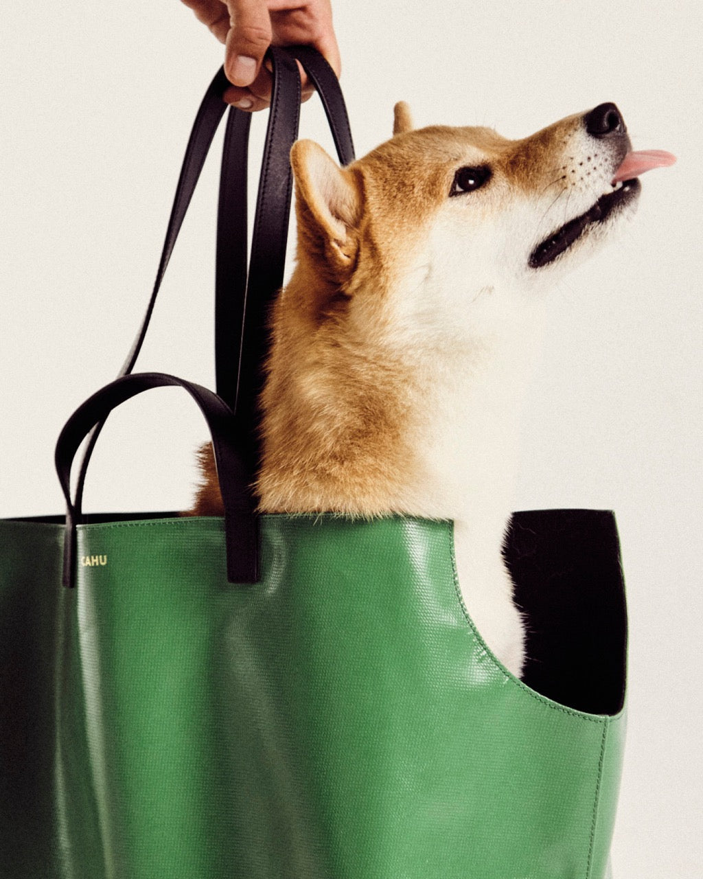 Le Doggy Bag - M