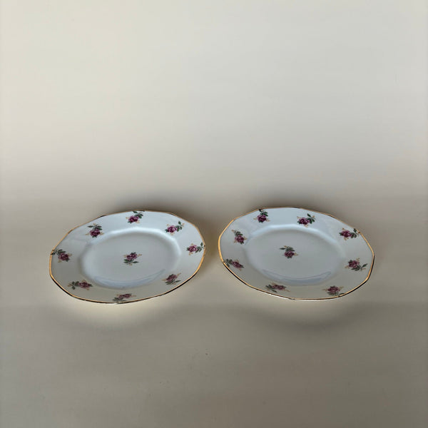 Paire De 2 Assiettes