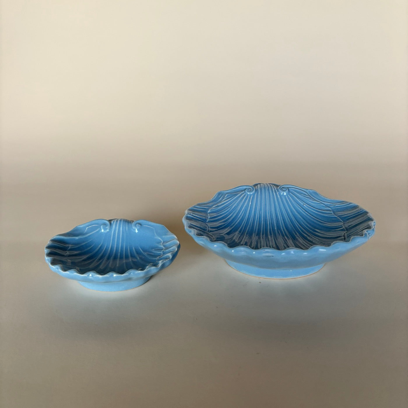 Ensemble De Coupelles Coquillage