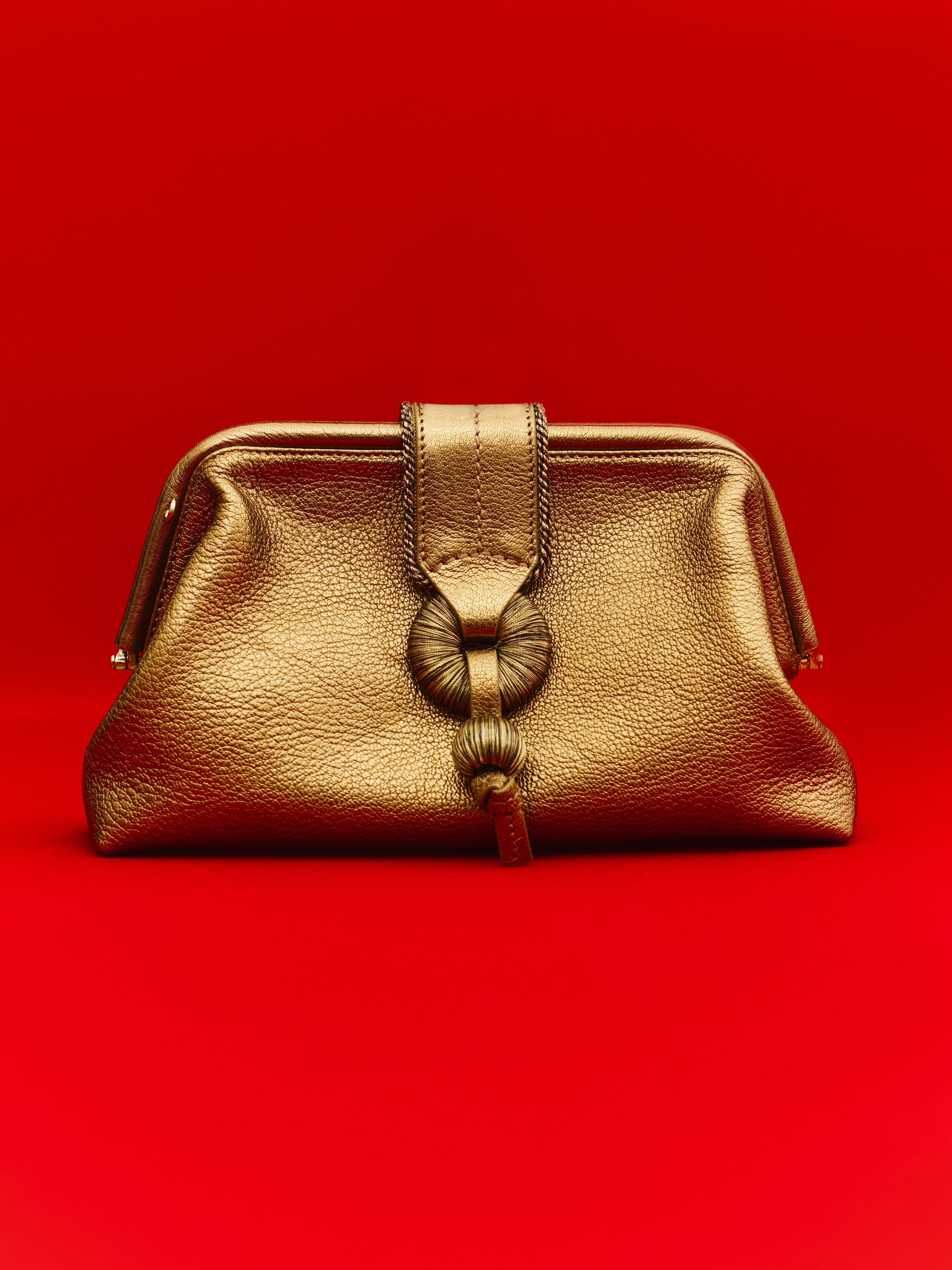 Boho Chic Bronze Pouch Bag