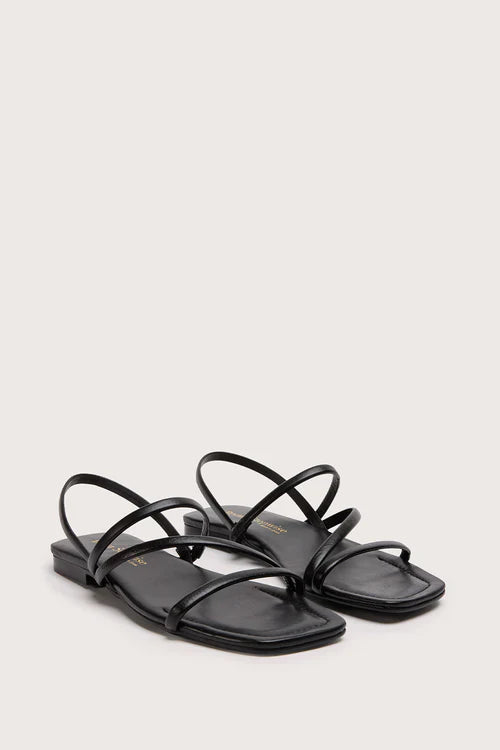 Sandales Plates Roma T - Negro