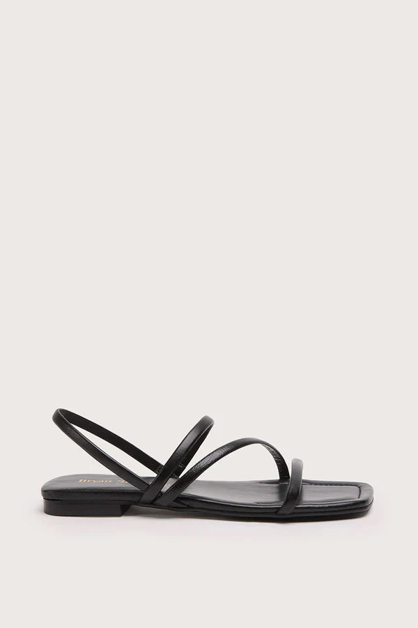 Sandales Plates Roma T - Negro