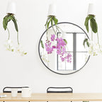 Pot suspendu renversé en plastique moyen Sky Planter blanc - INSIDE Box - Shop - Conseil