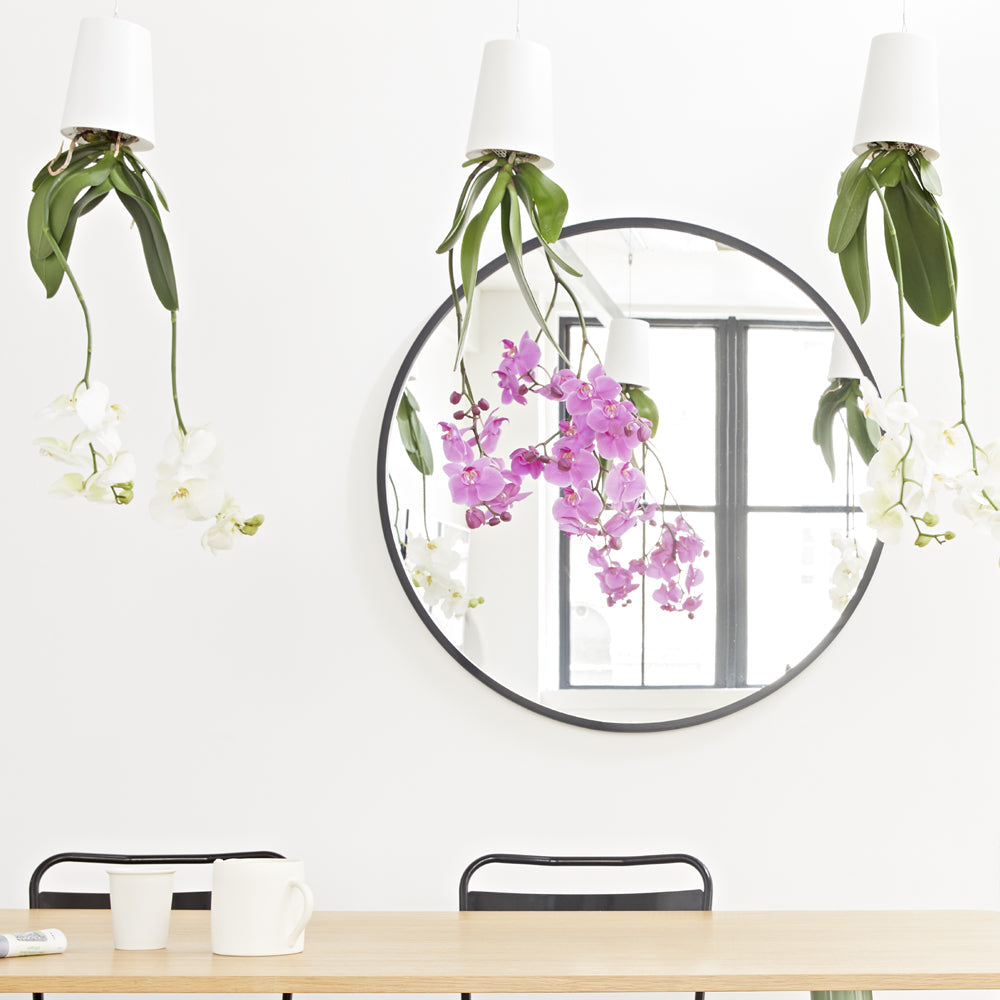 Pot suspendu renversé en plastique moyen Sky Planter blanc - INSIDE Box - Shop - Conseil
