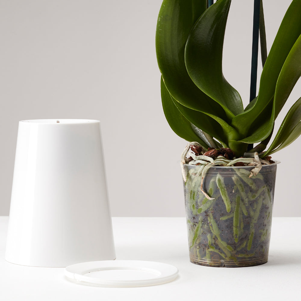 Pot suspendu renversé en plastique moyen Sky Planter blanc - INSIDE Box - Shop - Conseil