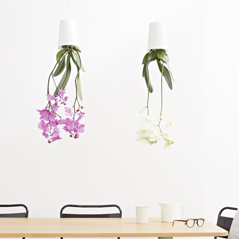 Pot suspendu renversé en plastique moyen Sky Planter blanc - INSIDE Box - Shop - Conseil