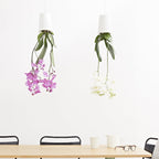 Pot suspendu renversé en plastique moyen Sky Planter blanc - INSIDE Box - Shop - Conseil