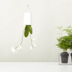 Pot suspendu renversé en plastique moyen Sky Planter blanc - INSIDE Box - Shop - Conseil