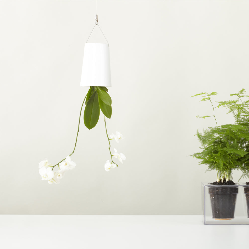 Pot suspendu renversé en plastique moyen Sky Planter blanc - INSIDE Box - Shop - Conseil