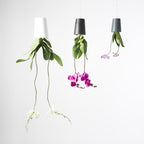 Pot suspendu renversé en plastique moyen Sky Planter blanc - INSIDE Box - Shop - Conseil