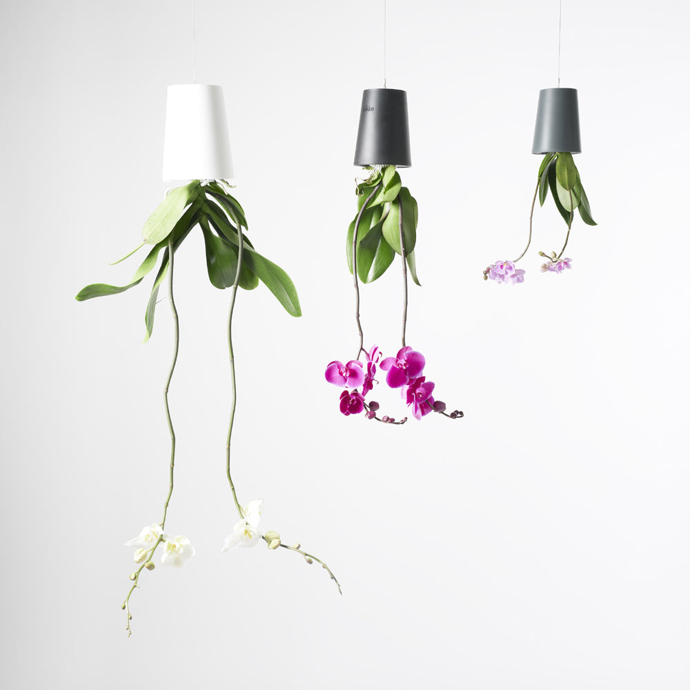 Pot suspendu renversé en plastique moyen Sky Planter blanc - INSIDE Box - Shop - Conseil