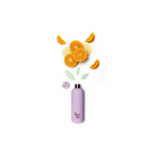 Urban Bottle - Violet