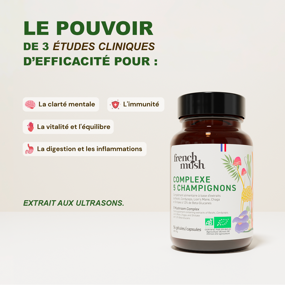 French Mush compléments alimentaires à base d'extraits de champignons médicinaux biologiques fabriqués en France Le Pack Best Seller VIP - VIP -
