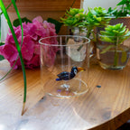 Monterey - Lot De 2 Gobelets Toucans - Verre Borosilicate - 250ml
