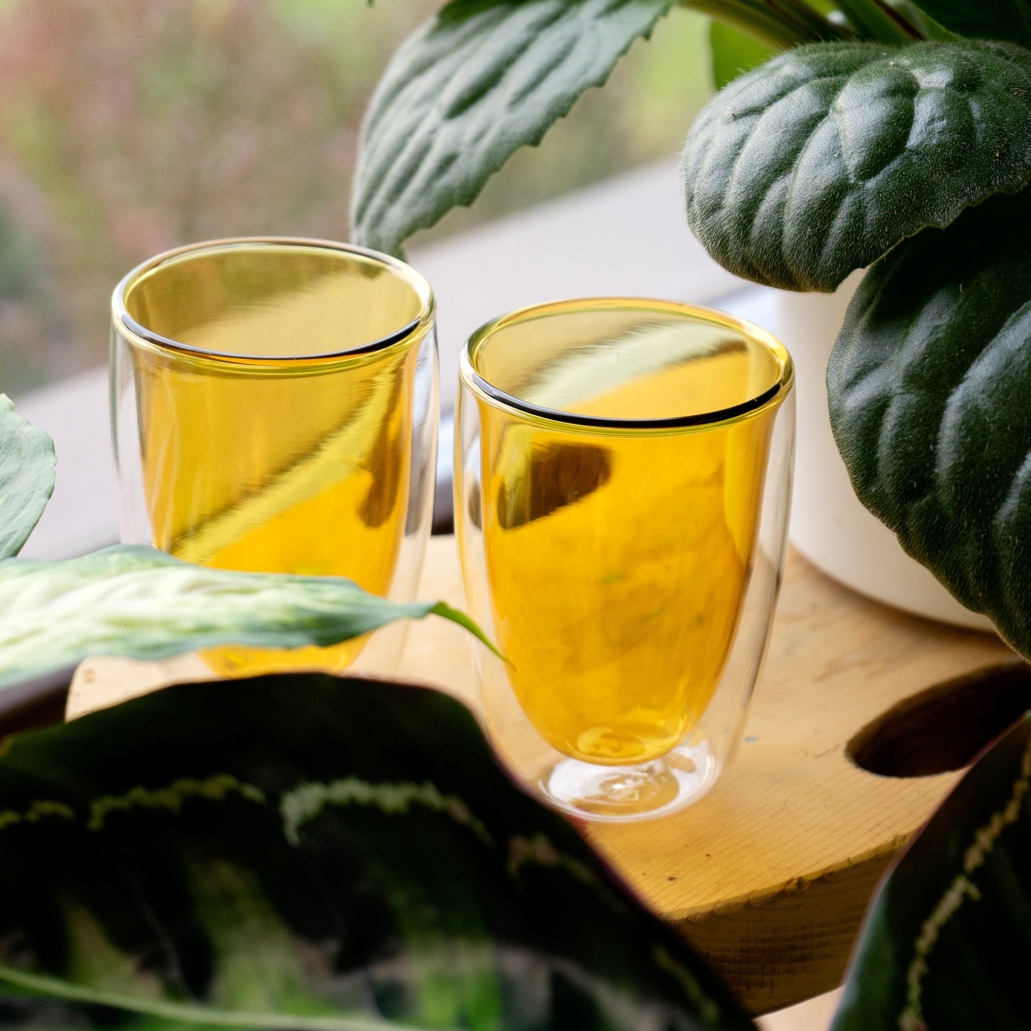 Monterey - Set De 2 Verres À Double Paroi - Jaune - Verre Borosilicate - 250ml