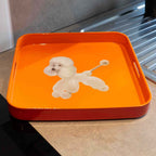 Mykonos - Plateau Carré Chien - PVC