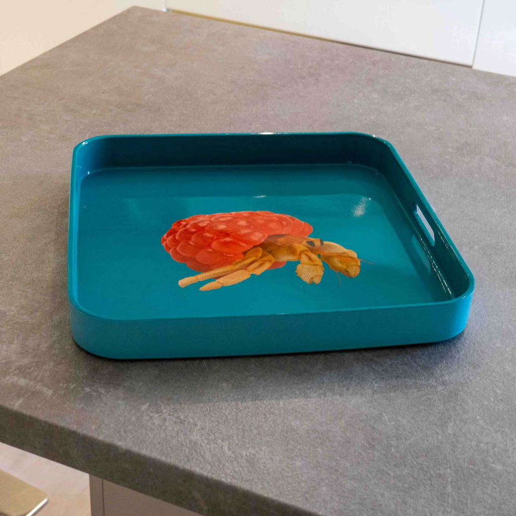Mykonos - Plateau Carré Bernard-l'hermite - PVC