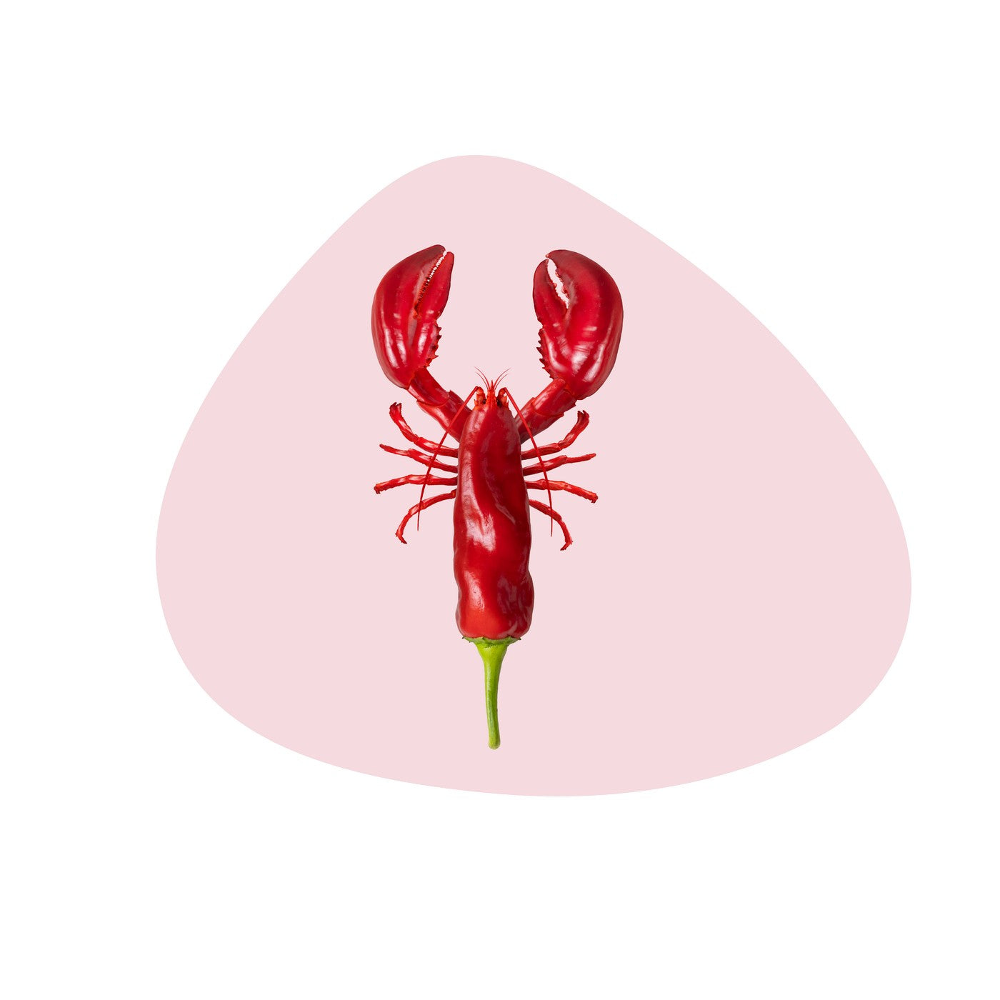 Mykonos - Lot De 4 Sets De Table Homard - PVC