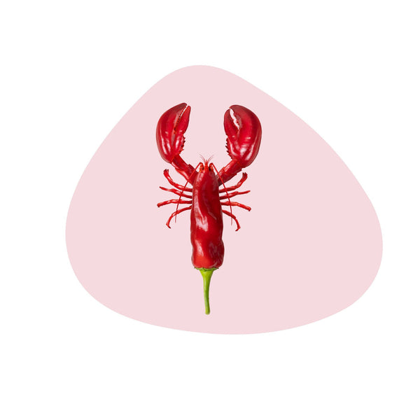 Mykonos - Lot De 4 Sets De Table Homard - PVC