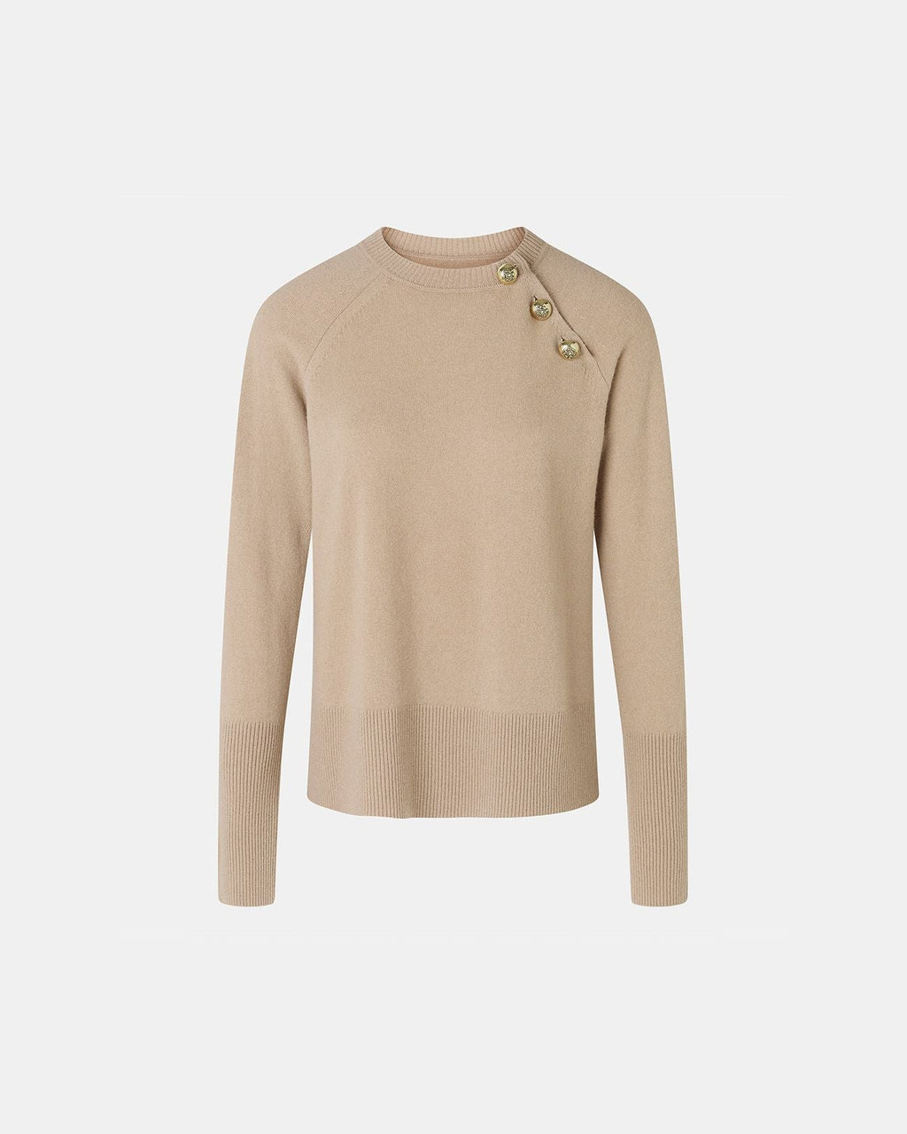 Pull Noam camel_5
