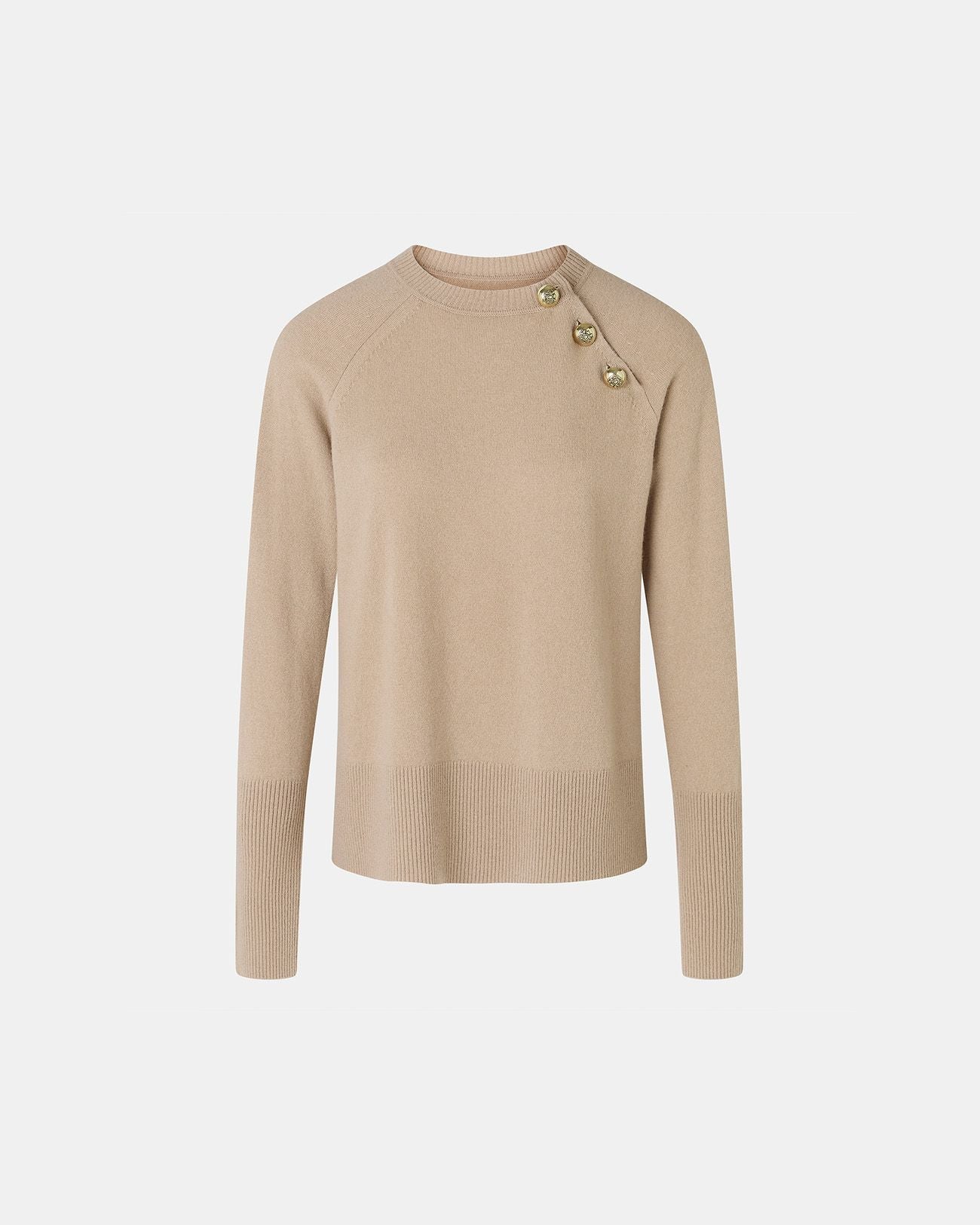 Pull Noam camel_5