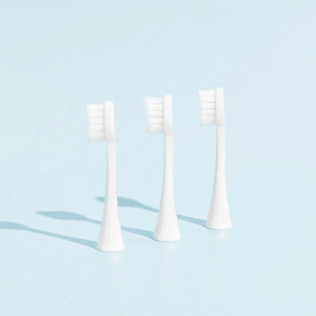 Têtes De Brosse (X3) - Blanches