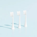 Têtes De Brosse (X3) - Blanches