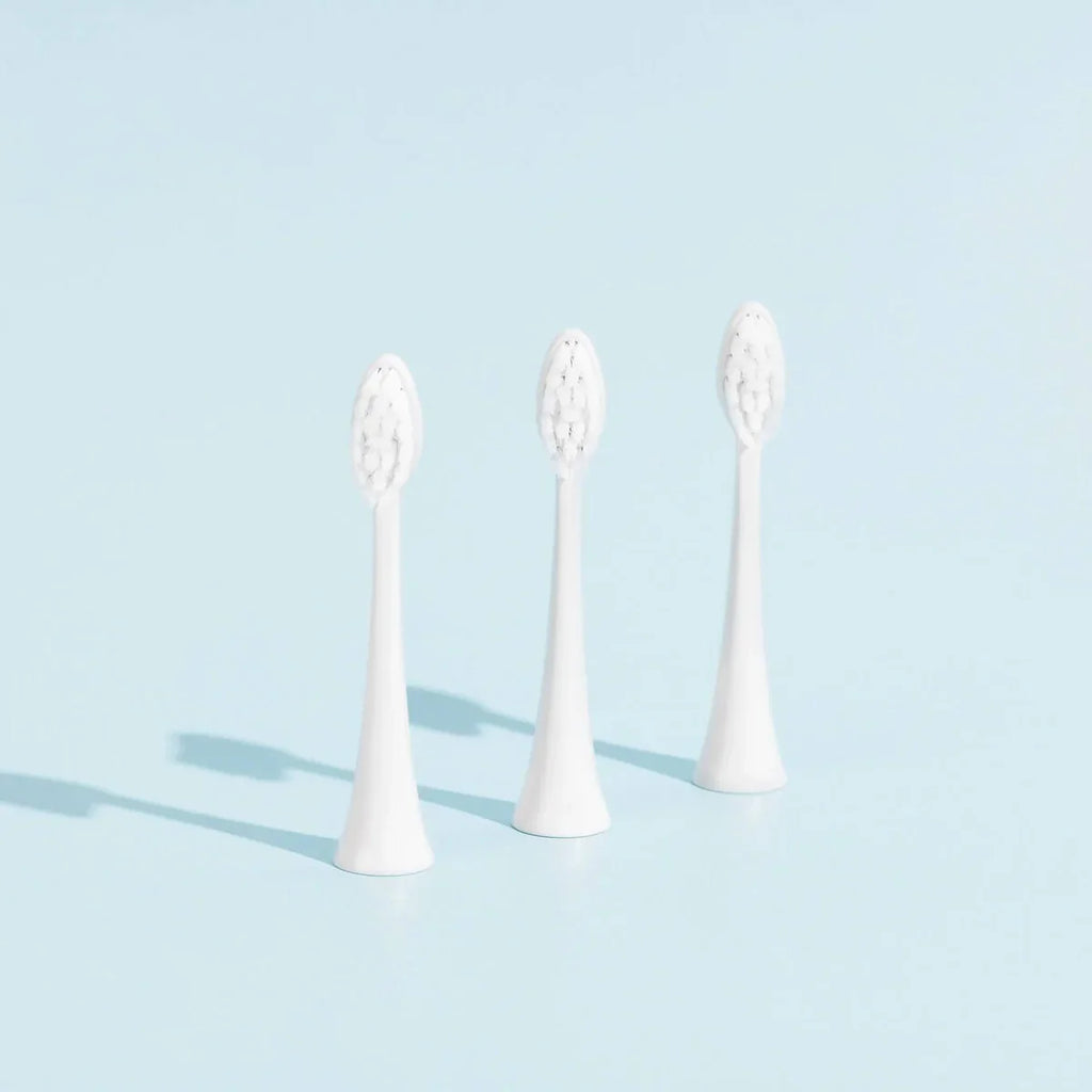 Têtes De Brosse (X3) - Blanches